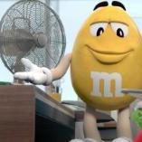 "... you mean these fans?"