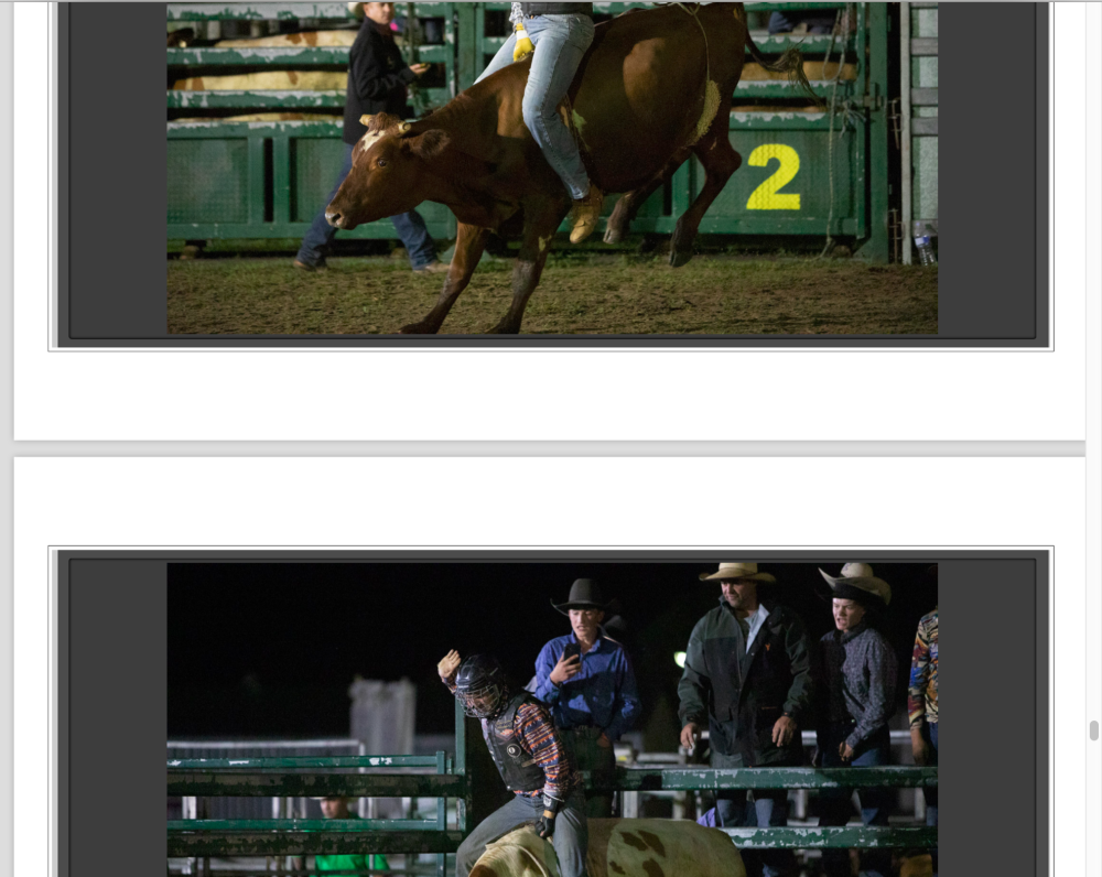 FileMaker PDF margins.png